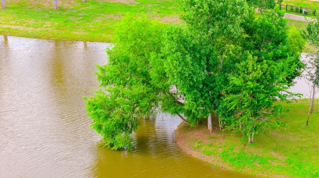 8439 Red Shiner Way, Fulshear, TX 77441