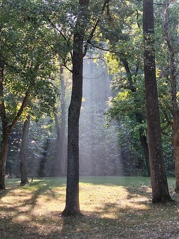 20686 Distress Creek Rd, Harrisburg, AR 72432