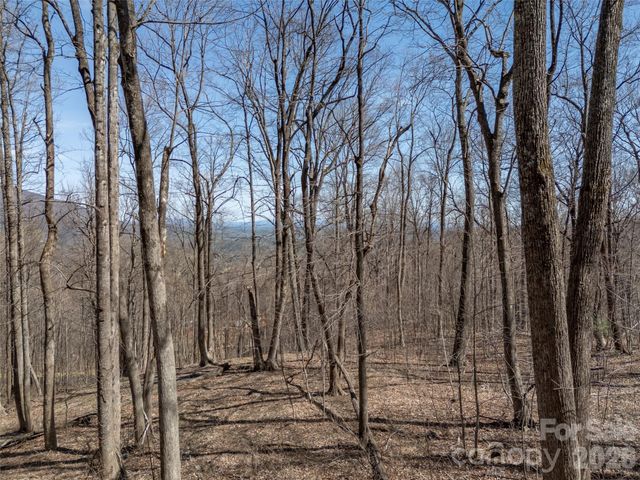 Lot 2130 Weaverly Lane, Mill Spring, NC 28756
