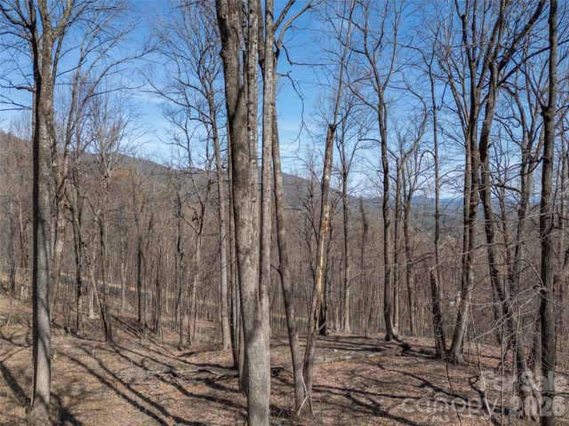 Lot 2130 Weaverly Lane, Mill Spring, NC 28756