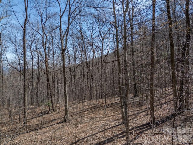 Lot 2130 Weaverly Lane, Mill Spring, NC 28756