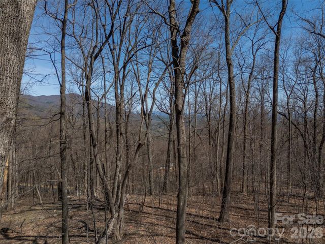 Lot 2130 Weaverly Lane, Mill Spring, NC 28756