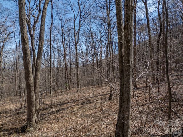 Lot 2130 Weaverly Lane, Mill Spring, NC 28756