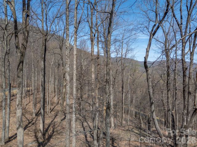 Lot 2130 Weaverly Lane, Mill Spring, NC 28756