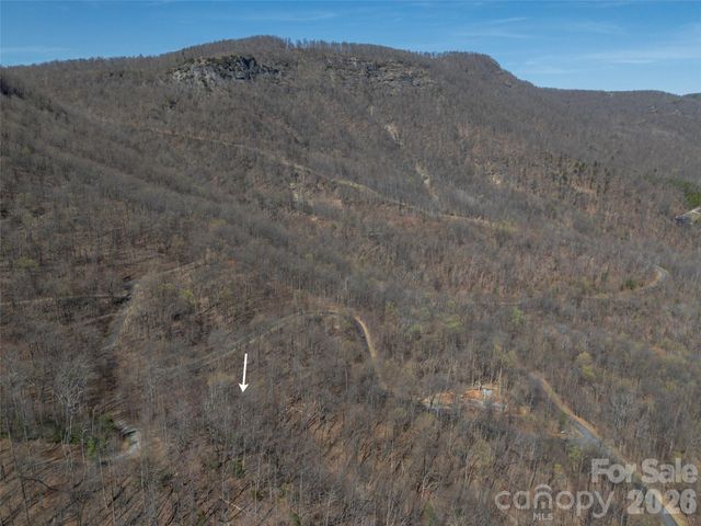 Lot 2130 Weaverly Lane, Mill Spring, NC 28756