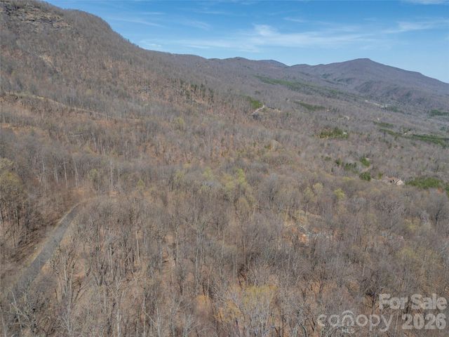 Lot 2130 Weaverly Lane, Mill Spring, NC 28756