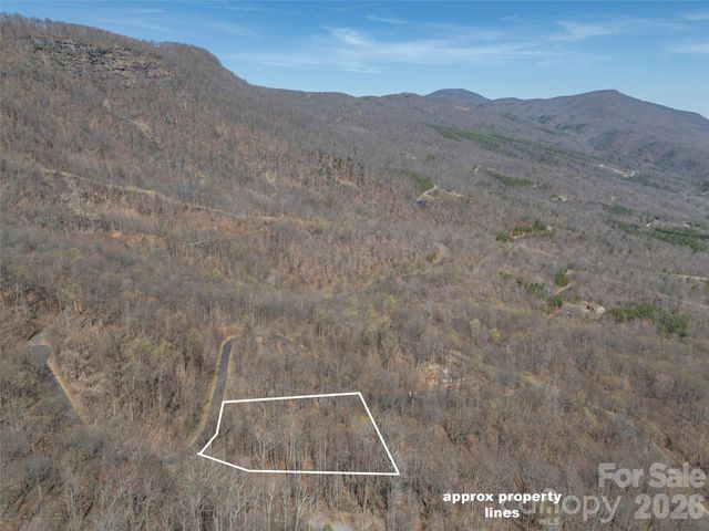 Lot 2130 Weaverly Lane, Mill Spring, NC 28756