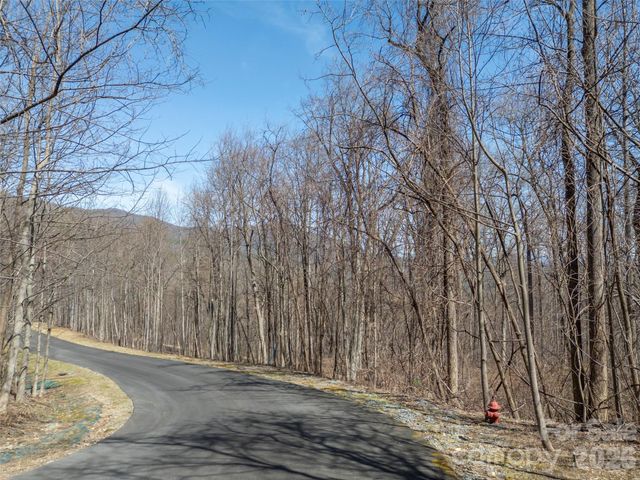 Lot 2130 Weaverly Lane, Mill Spring, NC 28756