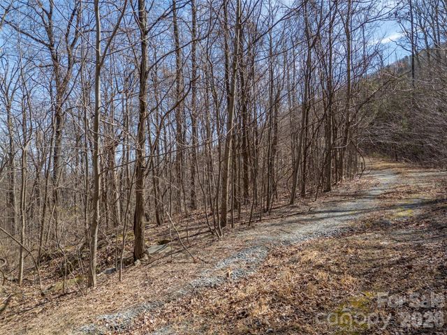 Lot 2130 Weaverly Lane, Mill Spring, NC 28756