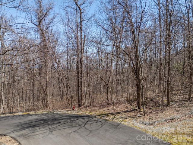 Lot 2130 Weaverly Lane, Mill Spring, NC 28756