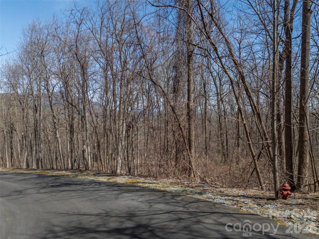 Lot 2130 Weaverly Lane, Mill Spring, NC 28756