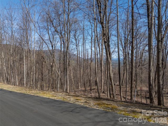 Lot 2130 Weaverly Lane, Mill Spring, NC 28756