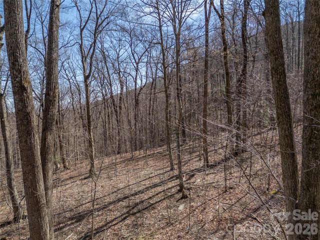 Lot 2130 Weaverly Lane, Mill Spring, NC 28756