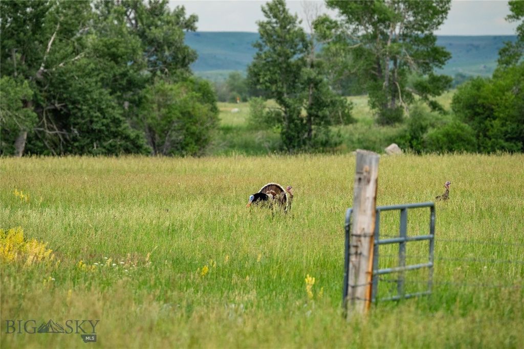287 Spring Creek Road, Absarokee, MT 59001 photo 40