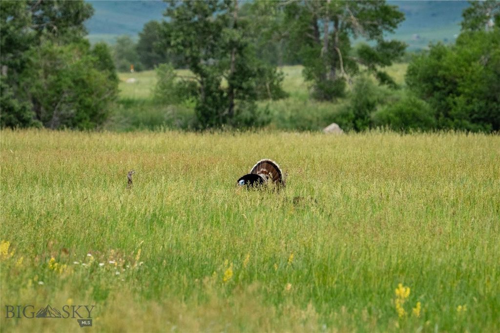 287 Spring Creek Road, Absarokee, MT 59001 photo 41