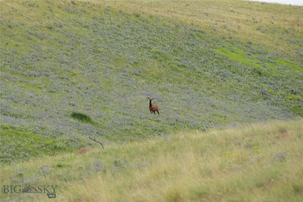 287 Spring Creek Road, Absarokee, MT 59001 photo 44