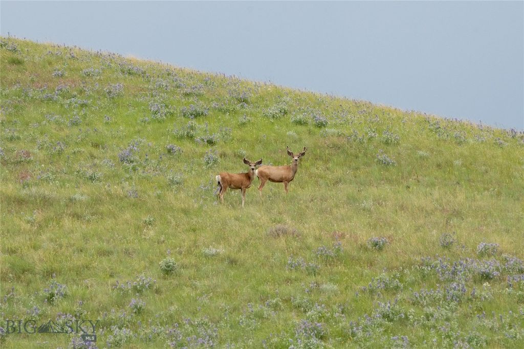 287 Spring Creek Road, Absarokee, MT 59001 photo 45