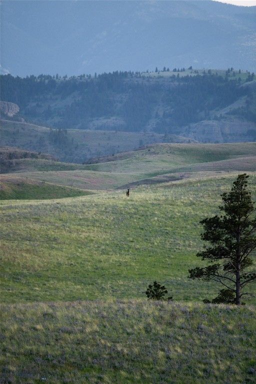 287 Spring Creek Road, Absarokee, MT 59001 photo 58