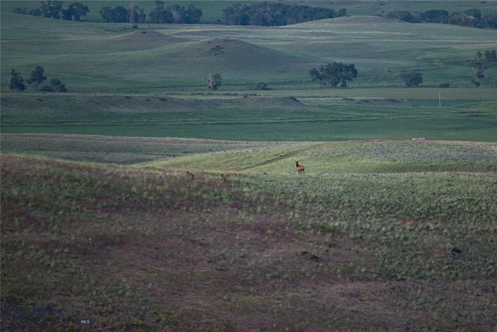 287 Spring Creek Road, Absarokee, MT 59001 photo 60