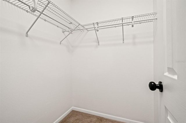 13922 BRIARDALE LANE, Tampa, FL 33618