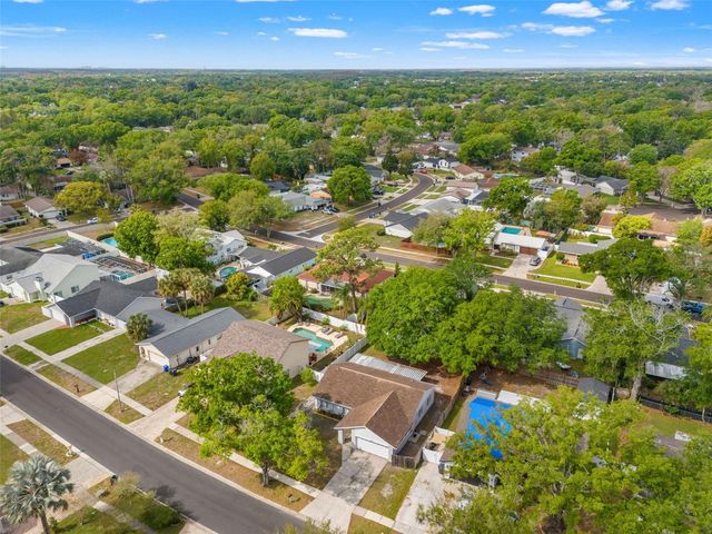 13922 BRIARDALE LANE, Tampa, FL 33618