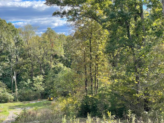 453 Statem Gap Road, Morristown, TN 37813