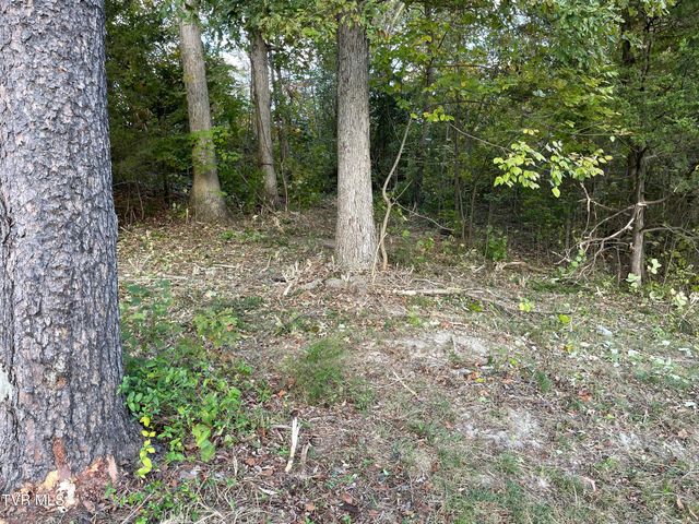 453 Statem Gap Road, Morristown, TN 37813