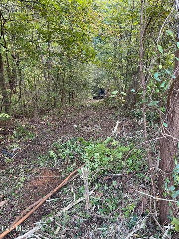 453 Statem Gap Road, Morristown, TN 37813