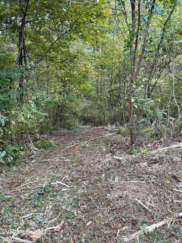 453 Statem Gap Road, Morristown, TN 37813