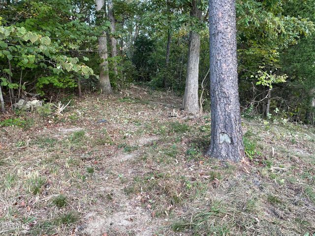 453 Statem Gap Road, Morristown, TN 37813