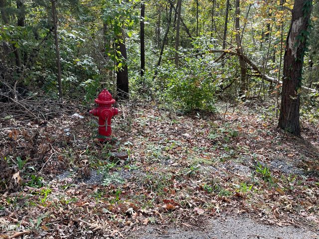 453 Statem Gap Road, Morristown, TN 37813