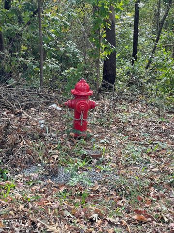 453 Statem Gap Road, Morristown, TN 37813