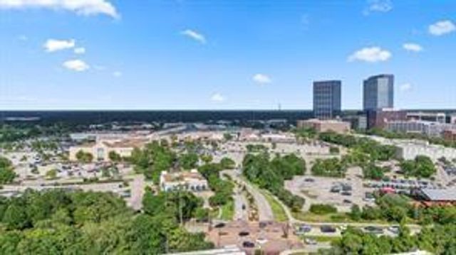14 Guinevere Place, The Woodlands, TX 77384