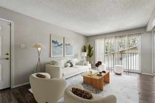 2124 Burton DR 203, Austin, TX 78741