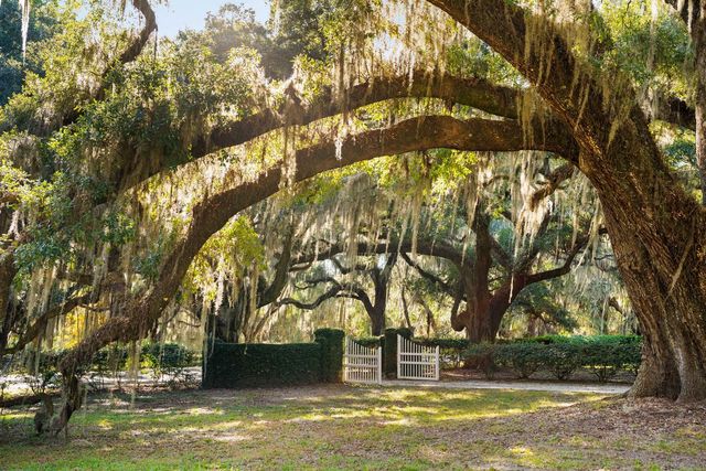 1305 River Road, Yemassee, SC 29945