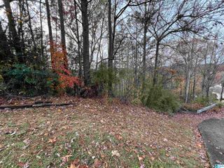 329 DELCRIS COURT, Homewood, AL 35226