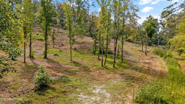 315 Tobby Hollow Lane, Knoxville, TN 37931