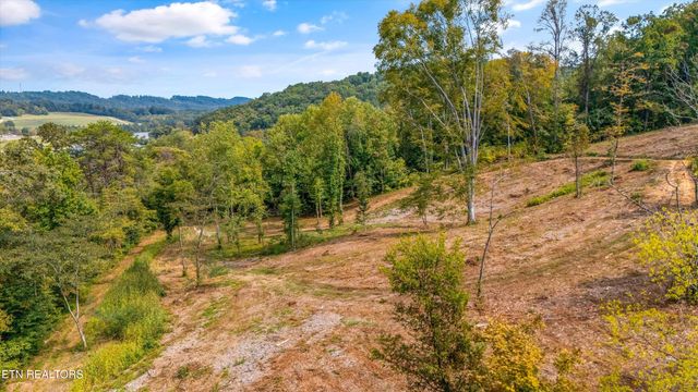 315 Tobby Hollow Lane, Knoxville, TN 37931