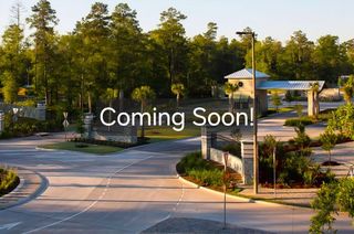 16849 Pink Wintergreen Drive, Conroe, TX 77385