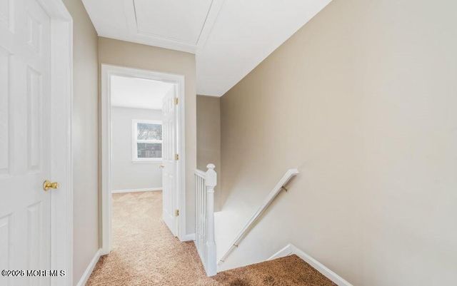 53 Briar Mills Drive 53, Brick, NJ 08724