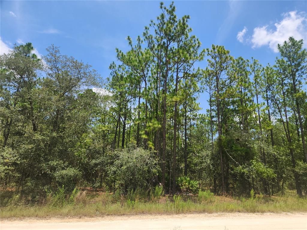 SW 76 LANE, Dunnellon, FL 34432