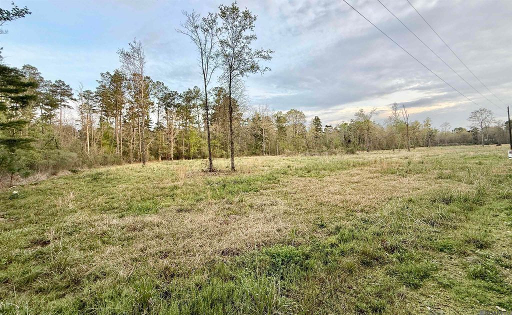 18826 Creole Ln, Livingston, LA 70754