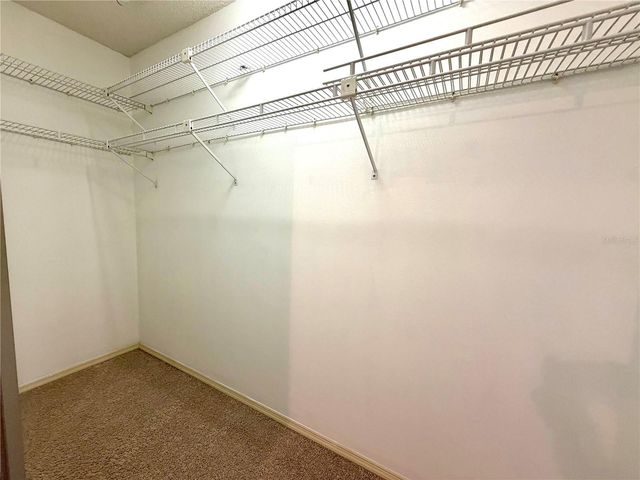 5100 BURCHETTE ROAD 3102, Tampa, FL 33647