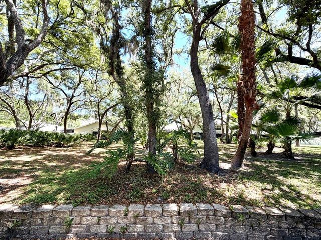 5100 BURCHETTE ROAD 3102, Tampa, FL 33647