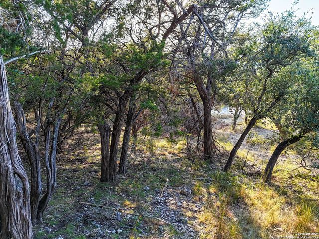 1155 HANCOCK RD, Canyon Lake, TX 78133
