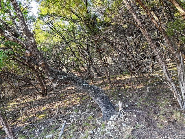 1155 HANCOCK RD, Canyon Lake, TX 78133