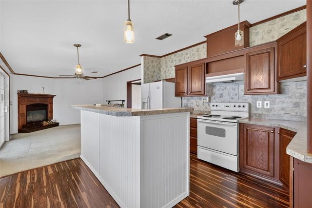 14206 GOLDRUSH COURT, Astatula, FL 34705
