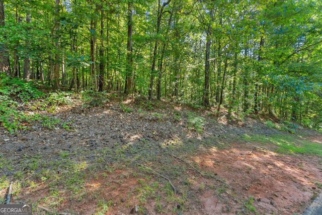 786 Cherry Court 718, Clarkesville, GA 30523