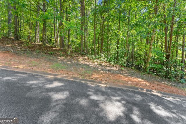 786 Cherry Court 718, Clarkesville, GA 30523