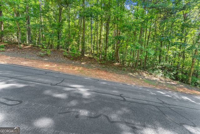 786 Cherry Court 718, Clarkesville, GA 30523